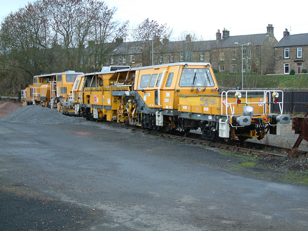 On Track Plant