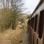 Tree on the line - Viewed 2161 times